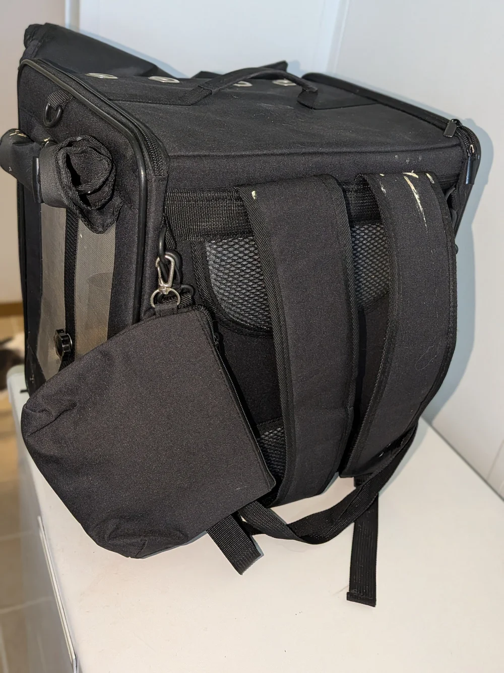 Black Transparent Small Pet Carrier Cube - Portable Small Pets Carrier